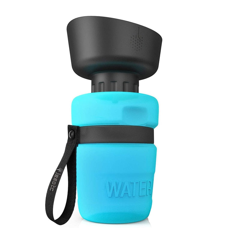 Walkies Water Bottle